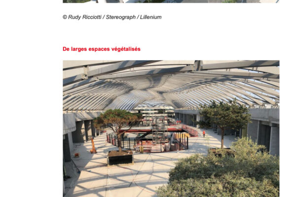 LSA 25 SEPT 2019