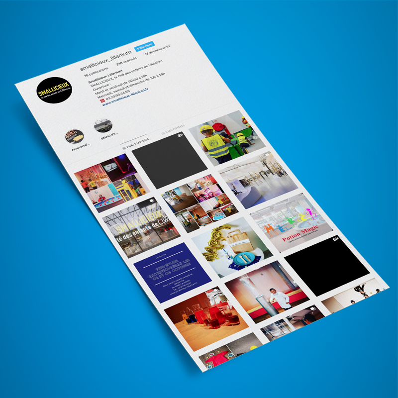 S03 Site Internet de Smallicieux